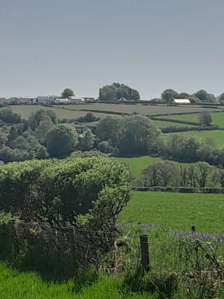 Pentref Coedybryn ar y gorwel