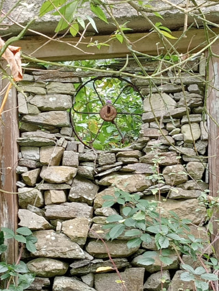 Picture Sue Davies