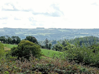 View from Church. Picture Sue Davies.
